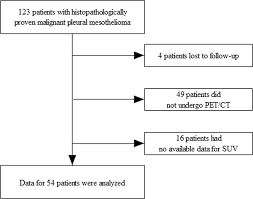 The recently updated nccn cpg for malignant pleural mesothelioma (2019) includes a category 2a recommendation for use of Prognostic Value Of Suvmax On 18f Fluorodeoxyglucose Pet Ct Scan In Patients With Malignant Pleural Mesothelioma