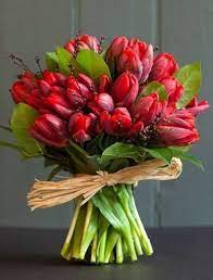 Pin By Dawn Marie On Flowers Tulips Tulips Flowers Red Tulips Bouquet Beautiful Flowers