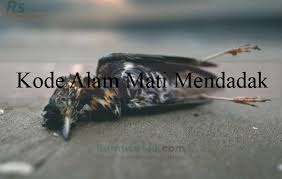 Termasuk bisa datang dari kode alam orang meninggal ataupun tafsir mimpi orang mati 2d 3d 4d yang anda alami. Kode Alam Mati Mendadak 2d 3d 4d Menurut Erek Erek Primbon