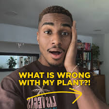 Najee Rashad Ward (@plantdadgirldad) • Instagram photos and videos