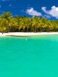 Please contact us if you want to publish a background wallpaper on our site. Summer Old Mobile Cell Phone Smartphone Wallpapers Hd Desktop Backgrounds 240x320 Downloads Images And Pictures
