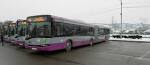 Vocea Transilvaniei. Stiri Cluj, Satu Mare, Baia Mare, Bihor, Zalau