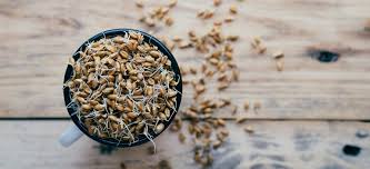There are many different types of wheat (e.g. What Is Wheat Germ And Why Should I Be Eating It Bob S Red Mill