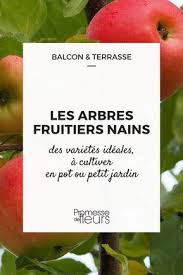 Epingle Sur Jardin