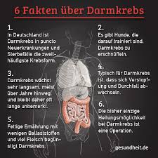 Darmkrebs Symptome Anzeichen Fruherkennung Gesundheit De