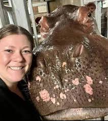 Cincinnati zoo animals