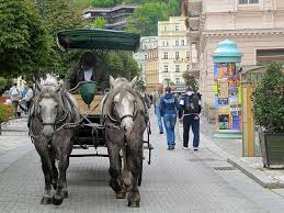 Directing Blindly Horses The Places Youll Go Czech Republic