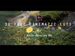 30 Free Cinematic Luts Color Grading How To Apply Luts In Adobe Premiere Pro Youtube Adobe Premiere Pro Premiere Pro Premiere Pro Tutorials