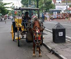 Gambar mewarnai berikut ini kami sediakan spesial untuk anda yang sedang mencari bahan gambar untuk diwarnai. Gambar Mewarnai Delman