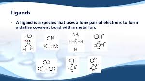 We did not find results for: 13 2 4 Define The Term Ligand Youtube