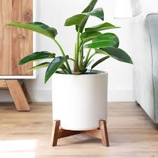 Faire Grand Pot Fleur Grand Milieu Moderne Plante Pot Siecle Stand En 2020 Decoration Plante Plantes De Decor De Maison Pot De Fleurs