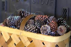 Coat the pine cone thoroughly. How To Make Scented Pinecone Fire Starters How Tos Diy
