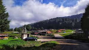 Image result for Marquesia