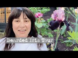 Bearded Iris Garden Tour Sullivan Owen 2023