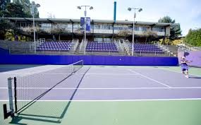 Image result for tennis fans in stands