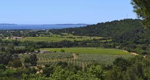 Moulin Du Haut Jasson Aop Huile D Olive De Provence
