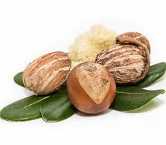 Image result for Pentadesma