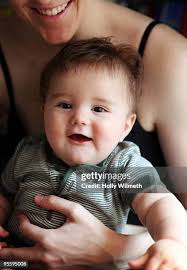 511 Holly Bond Stock Photos, High-Res Pictures, and Images