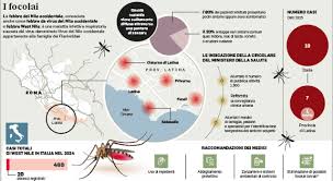 Amateur Danielle Dixon with stretch masters