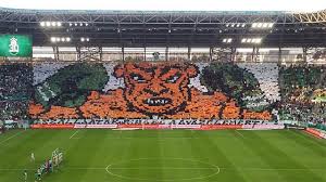Actualités pour la saison en cours, voir: Fanatics Of Football On Twitter Ferencvaros Ultras Tifo Ucl