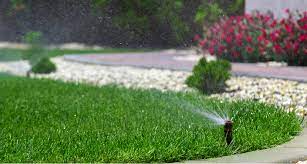How often & when to water your lawn?﻿ consider some points before heading forward. How Often Should You Water Your Lawn Hometurf