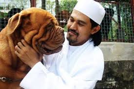 The dispute over touching dogs has underlined the fault lines in what has increasingly become a country polarized between members of the malay the malaysian authorities described the i want to touch a dog event as an offense to islam. I Wanna Touch Your Dog And Stand Against Harmful Conservative Stereotypes