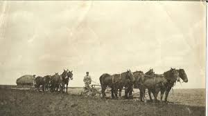 Histories From The 1986 Centennial Book