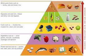 Learn how to balance your diet correctly. Atkins Diet Phase Two Ongoing Weight Loss Or Owl For Short