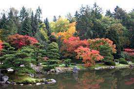 Seattle Japanese Gardens In The Fall Colorful And Beautiful Seattle Japanese Garden Beautiful Places Pacific Northwest