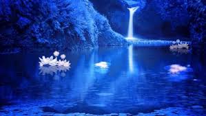 Magical Of Lotus In Lake Wallpaper Hd Nature Wallpapers Nature Wallpaper Laptop Wallpaper