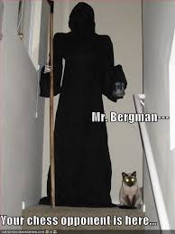 The movie, i evdomi sfragida, a saptea pecete, yedinci mühür, het zevende zegel, seitsemäs sinetti, riddaren och döden, det sjunde. I Can Has Cheezburger The Seventh Seal Funny Animals Online Cheezburger