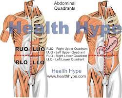 Bones provide support for our bodies and help form our shape. Pain Above Right Hip Causes And Symptoms Healthhype Com