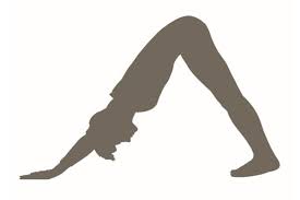 Yoga asanas are different from exercises. Beim Yoga Zum Tier Werden