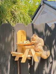 Squirrel Picnic Table Squirrel Feeder Mini Picnic Table Etsy In 2020 Squirrel Feeder Squirrel Feeder Diy Bird Feeders