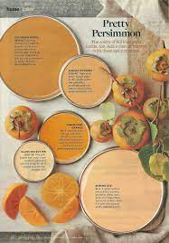 Pretty Persimmon Bhg Paint Colors