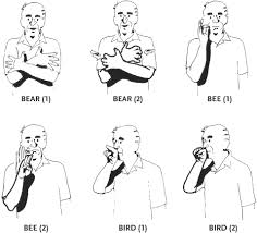 Bird In Sign Language Animal Definition Synonyms From Answers Com Sign Language Words Sign Language Phrases Asl Sign Language