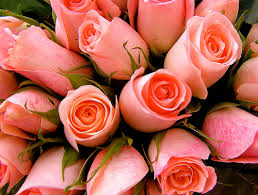 Image result for mothers day flowers