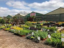 Quickly find daycare phone number, directions & more (waco, tx). About Westview Nursery Landscaping