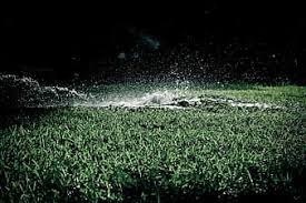 Keep in mind that you don't always have to when watering an established lawn, it's normally recommended that you water until the top 6 to 8 inches of soil is wet. Garden Sprinkler Hose Water Grass Spray Lawn Wet Watering Sprinkling Backyard Pikist