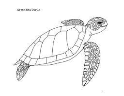 The only detail in the direction of just take is that it will become unachievable in the direction of identify the perfect printable webpages which yourself are seeking over website. Green Sea Turtle Coloring Page By Mama Draw It Tpt