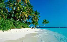 Maybe you would like to learn more about one of these? Tropical Island Beach Wallpaper 1920x1200 32297