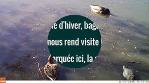 Check spelling or type a new query. Association Nationale Des Chasseurs De Gibiers D Eau