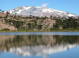Las autoridades neuquinas a través del comité operativo de emergencia (coe) declararon la alerta amarilla en la zona debido al proceso eruptivo mientras que las autoridades chilenas declararon alerta naranja. Volcan Copahue Andeshandbook