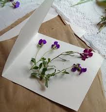 Drying flowers in microwave hometown. Diy Tutorial Microwave Flower Pressing Pressed Flower Crafts Pressed Flowers Diy Microwave Flower Press