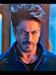 Hum Shareef Kya Howe