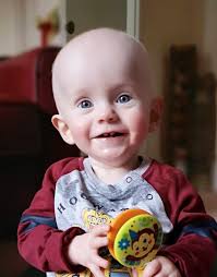 Driffield & Wolds Weekly