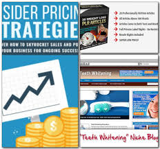 Pin On Idplr 12500 Plr Products