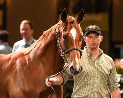 Thoroughbred Breeders...