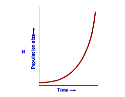 A Simple Graph Of Exponential Growth In Action
