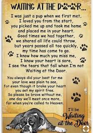 Pin By Laura Fazekas On Dog Quotes Losing A Dog Dog Poems Dog Heaven